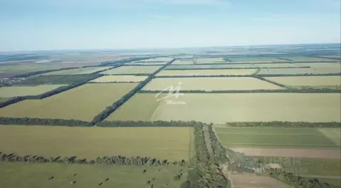 Участок в Крым, Красноперекопский район, с. Воинка  (282.49 сот.)