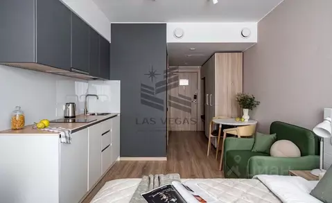 Студия Санкт-Петербург Заозерная ул., 3к3 (30.0 м)