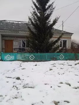 Помещение свободного назначения в Курганская область, Щучанский ...