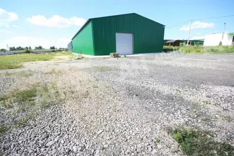 Производственное помещение в Московская область, Дмитров Внуковский ...