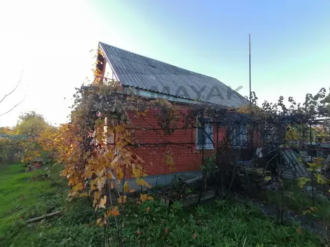 Дом в Майкоп, улица Калинина (51.8 м)