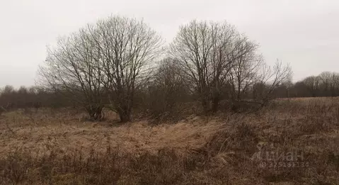 Участок в Московская область, Дмитровский муниципальный округ, д. ...