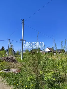 Участок в Ленинградская область, Всеволожский район, Щегловское с/пос, ...