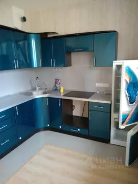 1-к кв. Московская область, Домодедово Южный мкр, ул. Курыжова, 17к1 ...