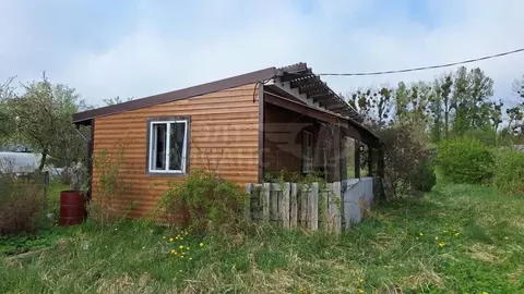 Дом в Калининградская область, Калининград Пищевик СНТ, ул. Ручейная, ...