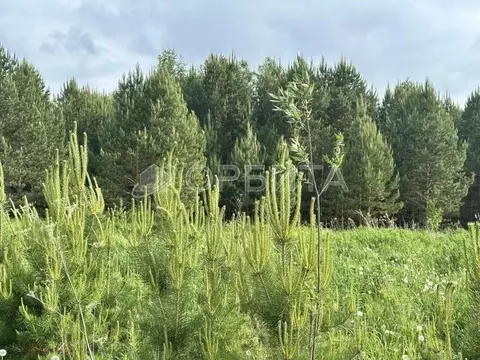 Участок в Тюменская область, Нижнетавдинский муниципальный округ, д. ...