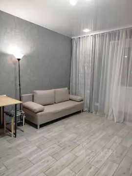 Студия Московская область, Ногинск Богородский городской округ, ул. ...