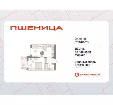 1-комнатная квартира: Новосибирский район, рабочий посёлок Краснообск, ...