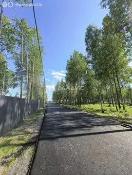 Участок в Павловск (6.16 м)