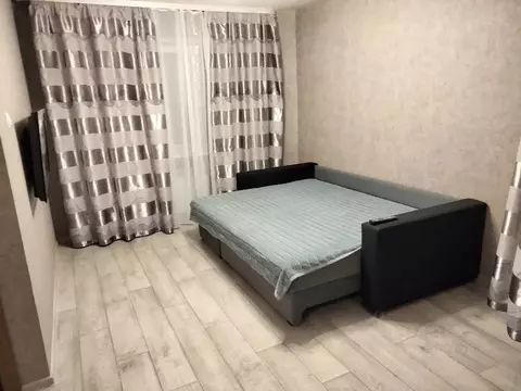 1-к кв. Псковская область, Псков ул. Яна Фабрициуса, 19 (31.0 м)