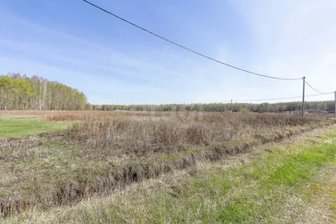 Участок в Тюменская область, Тюменский муниципальный округ, с. Кулига, ...