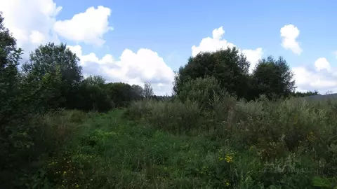 Участок в Московская область, Рузский муниципальный округ, д. Старо  ...