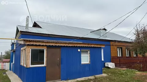 Дом в деревня Михайловка, улица Чапаева, 24/4 (51.8 м)