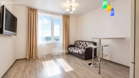 Квартира-студия: Санкт-Петербург, Русановская улица, 19к3 (27.3 м)