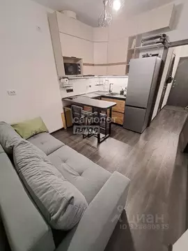 1-к кв. Санкт-Петербург Кубинская ул., 82к3с1 (30.3 м)