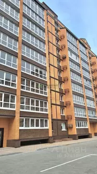 1-к кв. Амурская область, Благовещенск Высокая ул., 130 (39.0 м)