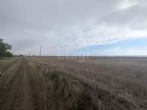 Участок в Крым, Черноморский район, Окуневское с/пос, с. Марьино  (5.0 ...