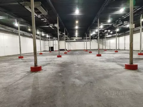 Склад в Санкт-Петербург Софийская ул., 58к2 (3500 м)