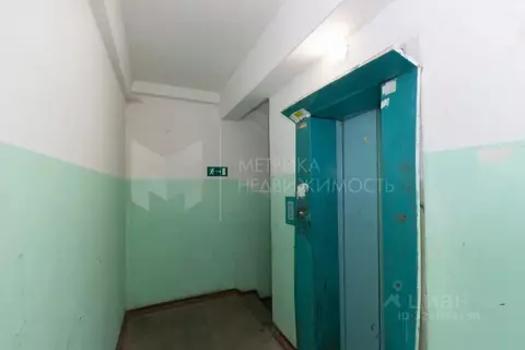 Студия Тюменская область, Тюмень ул. Мельникайте, 44а (18.0 м)