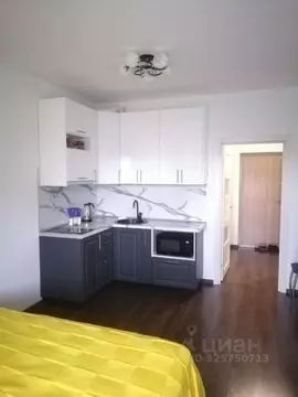 Студия Санкт-Петербург Шлиссельбургский просп., 32к1 (28.0 м)