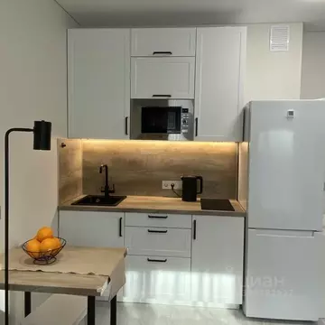 Студия Санкт-Петербург Уральская ул., 25 (24.6 м)