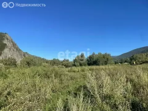 Участок в Усть-Канский район, село Ябоган (9923.76 м)