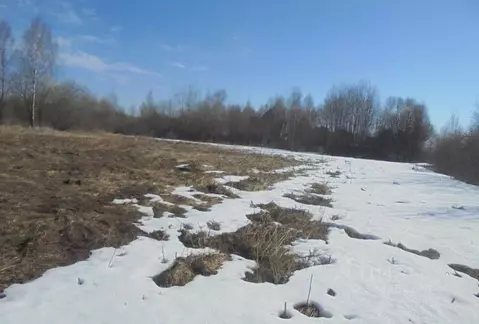 Участок в Московская область, Дмитровский муниципальный округ, д. ...