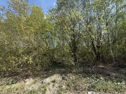 Участок в Московская область, Кашира Березовая ул. (14.74 сот.)