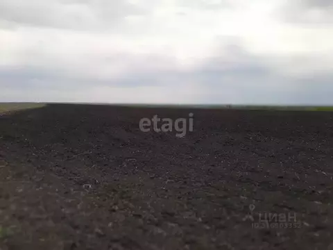 Участок в Белгородская область, Красногвардейский район, ...