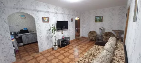 3-к кв. Омская область, Омск пос. Амурский, ул. Багратиона, 82А (49.0 ...