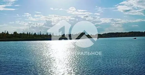 Участок в Новосибирская область, Новосибирский район, Криводановский ...