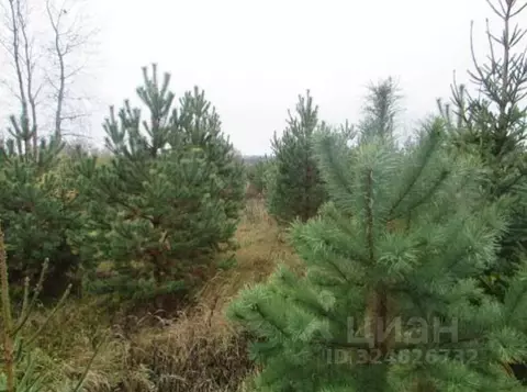Участок в Московская область, Коломна городской округ, д. Куземкино  ...