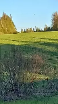 Участок в Новгородская область, Валдайский район, Короцкое с/пос, д. ...