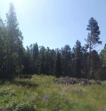 Участок в Ленинградская область, Выборгский район, Селезневское с/пос, ...