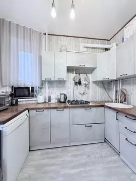 1-к кв. Московская область, Дмитровский муниципальный округ, д. Удино ...