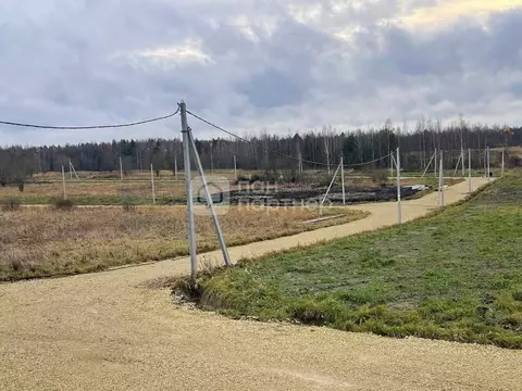 Участок в Ленинградская область, Ломоносовский район, Низинское с/пос, ...