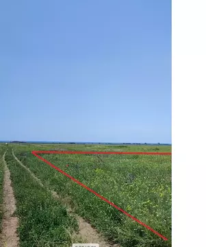 Участок в Крым, Сакский район, Молочненское с/пос, с. Витино  (6.0 ...