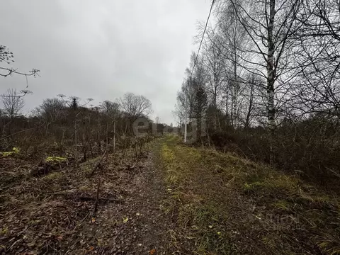 Участок в Тверская область, Калининский муниципальный округ, с. ...