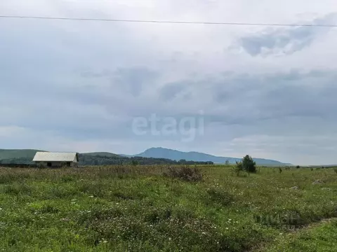 Участок в Алтайский край, Советский район, с. Платово  (12.0 сот.)