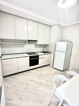 1-к кв. Башкортостан, Уфа ул. Гафури, 56 (41.0 м)