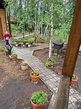 Дом в Саха (Якутия), Якутск городской округ, с. Маган  (40 м)