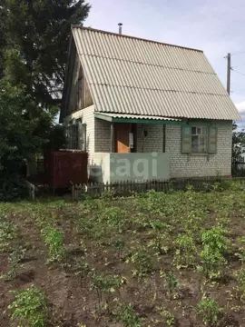 Дом в Курганская область, Кетовский муниципальный округ, Радуга СТ ул. ...