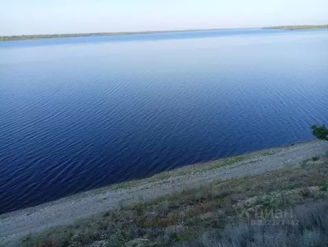 Участок в Саратовская область, Воскресенское муниципальное ...