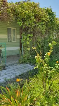 Дом в Краснодарский край, Темрюкский район, Голубицкое с/пос, ...