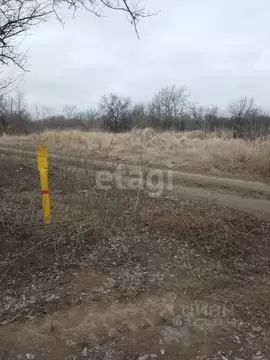 Участок в Ростовская область, Азов Азовский район, Мичуринец-3 мкр,  ...