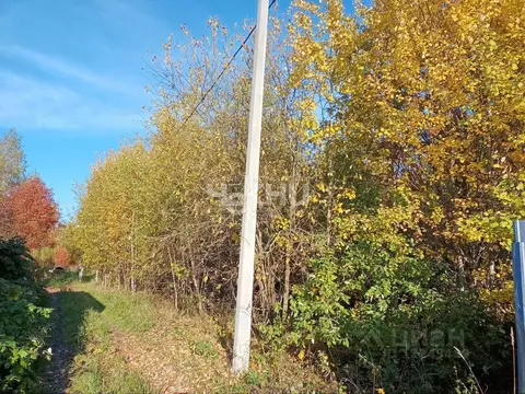 Участок в Нижегородская область, Кстовский муниципальный округ, с. ...