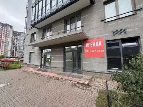 Помещение свободного назначения в Санкт-Петербург дор. Кушелевская, ...