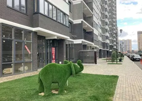 Помещение свободного назначения в Краснодарский край, Краснодар бул. ...