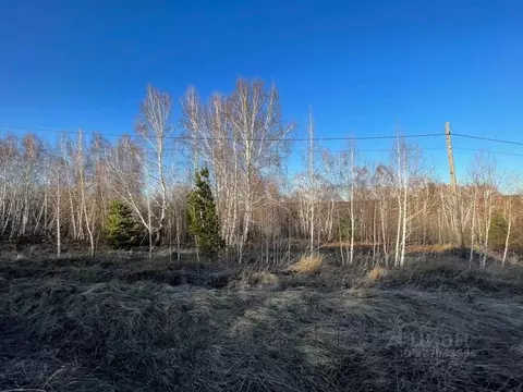 Участок в Иркутская область, Иркутский муниципальный округ, Лесное СНТ ...