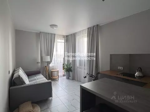 Студия Санкт-Петербург Комендантский просп., 60к1 (26.2 м)